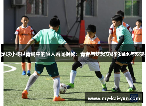 足球小将世青篇中的感人瞬间揭秘：青春与梦想交织的泪水与欢笑