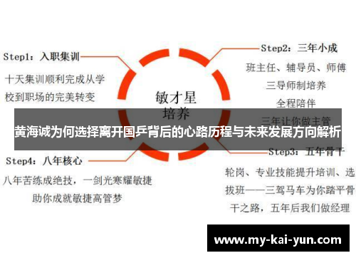 黄海诚为何选择离开国乒背后的心路历程与未来发展方向解析