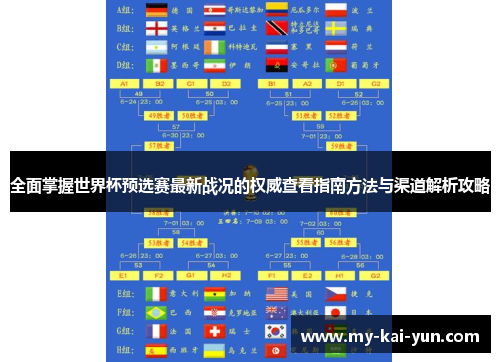 全面掌握世界杯预选赛最新战况的权威查看指南方法与渠道解析攻略